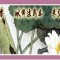＠四明受菩薩戒律的要求